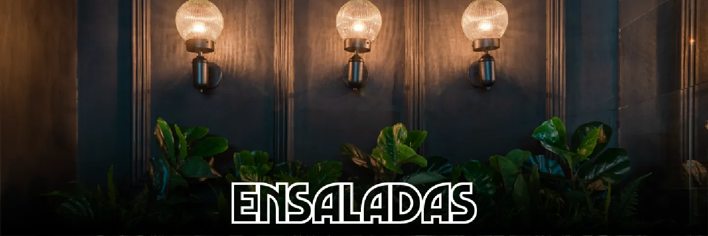 Ensaladas y Bowl