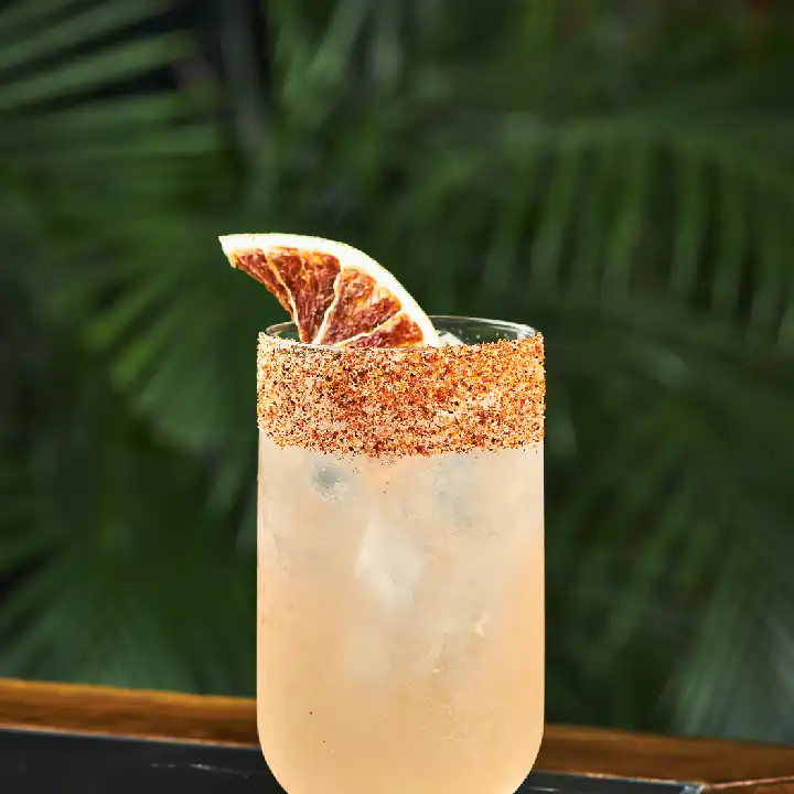 PALOMA