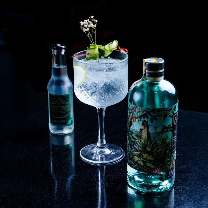 GIN AND TONIC