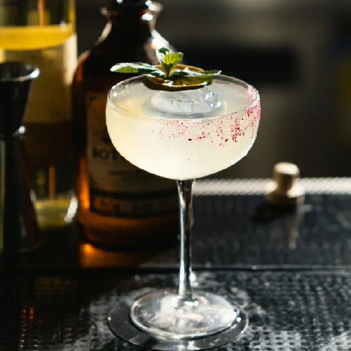 PACIFIC MULE