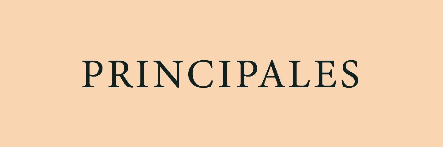 PRINCIPALES