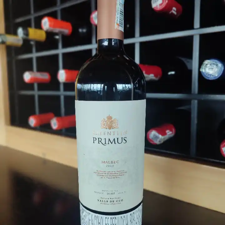 SALENTEIN PRIMUS MALBEC