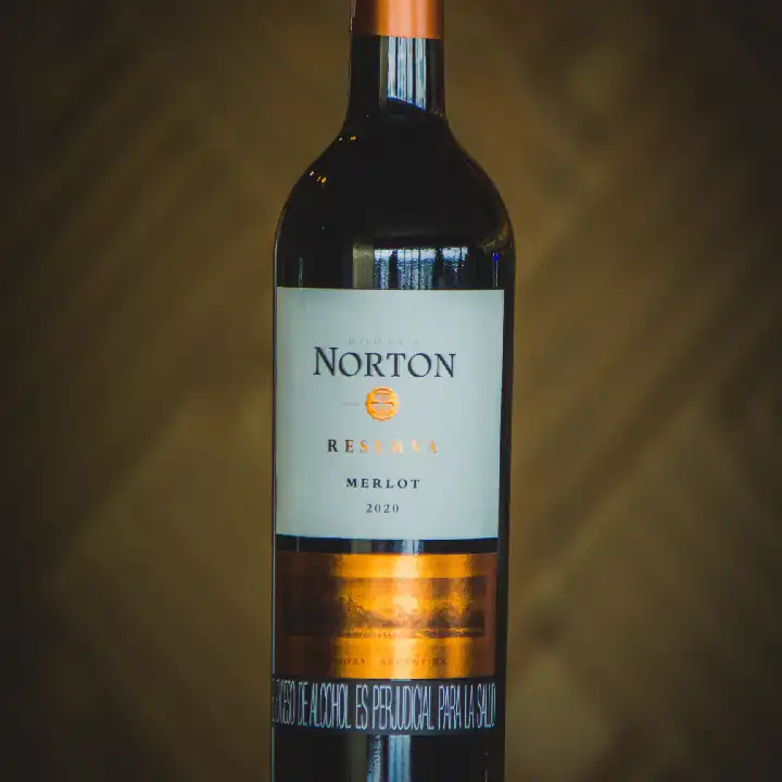 NORTON RESERVA 2005 TTO MERLOT