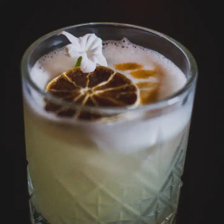 PISCO SOUR