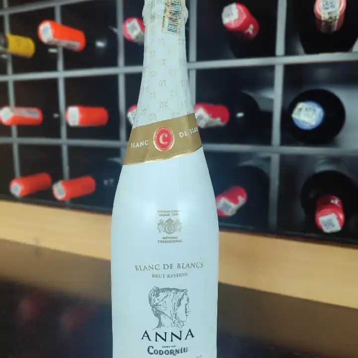 ANNA CODORNIU