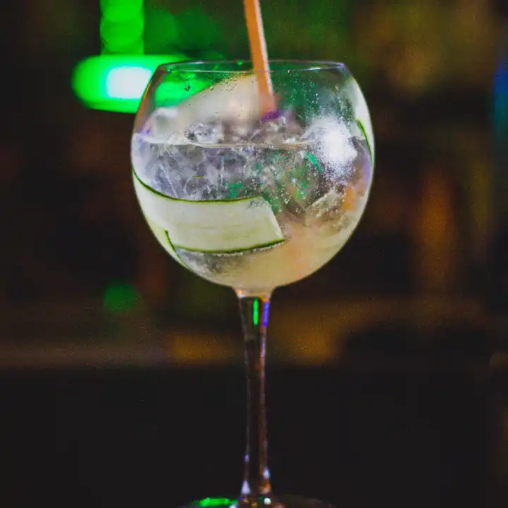GIN TONIC PREMIUM