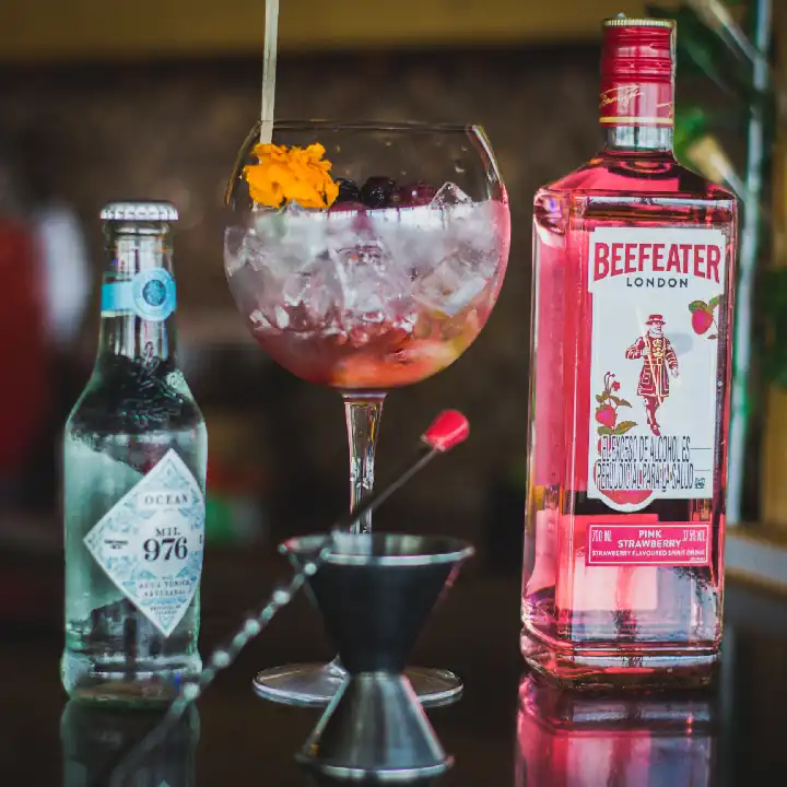  GIN TONIC RED FRUITS