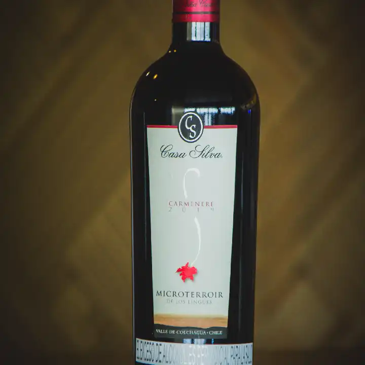 CASA SILVA MICROTERRIOR CARMENERE