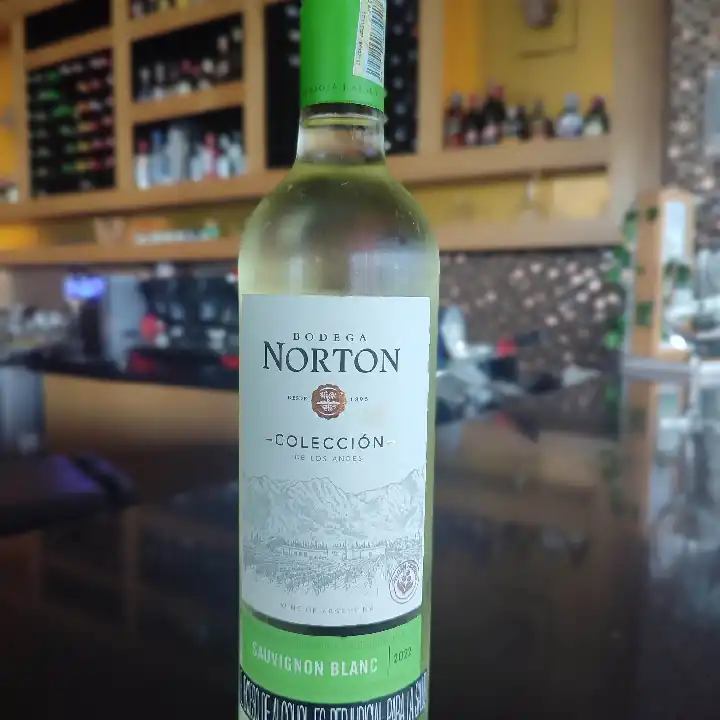 NORTON SAUVIGNON BLANC