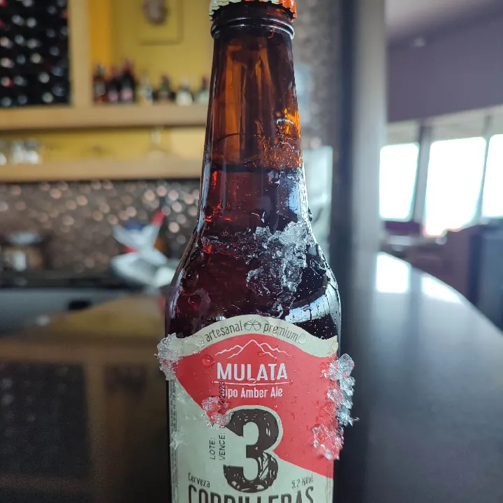 CERVEZA ARTESANAL