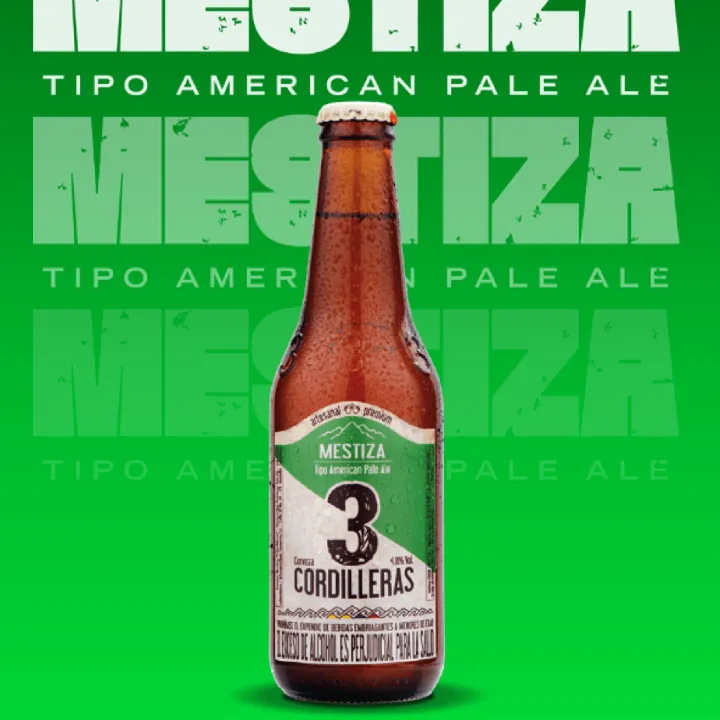 3CORDILLERAS MESTIZA
