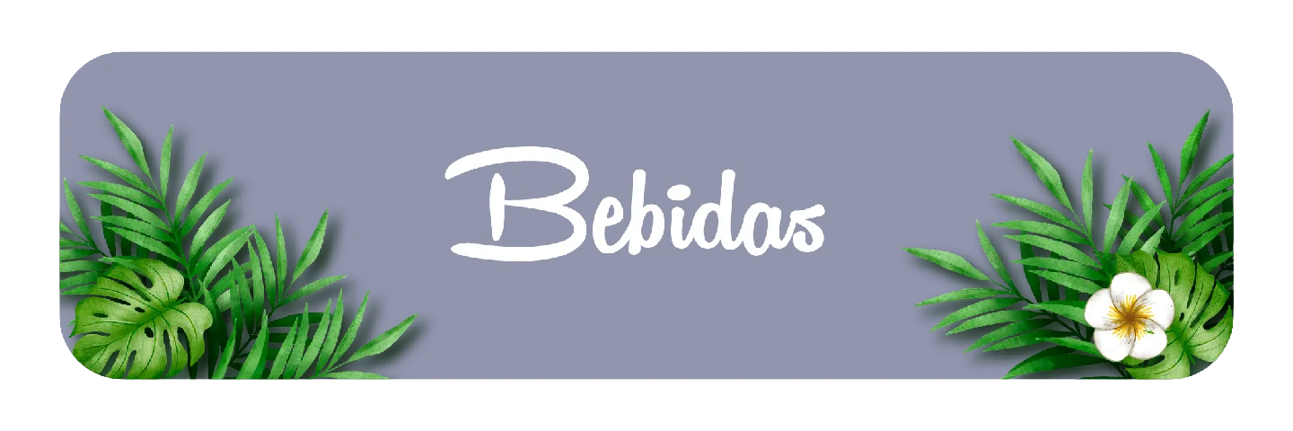 Bebidas