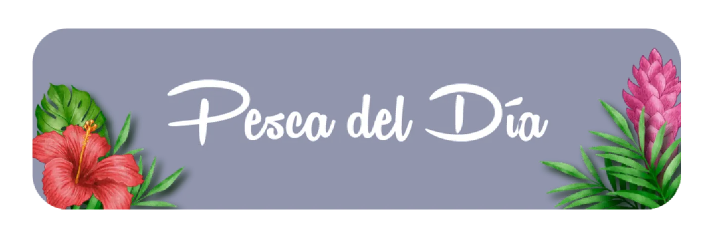 Pesca del Día