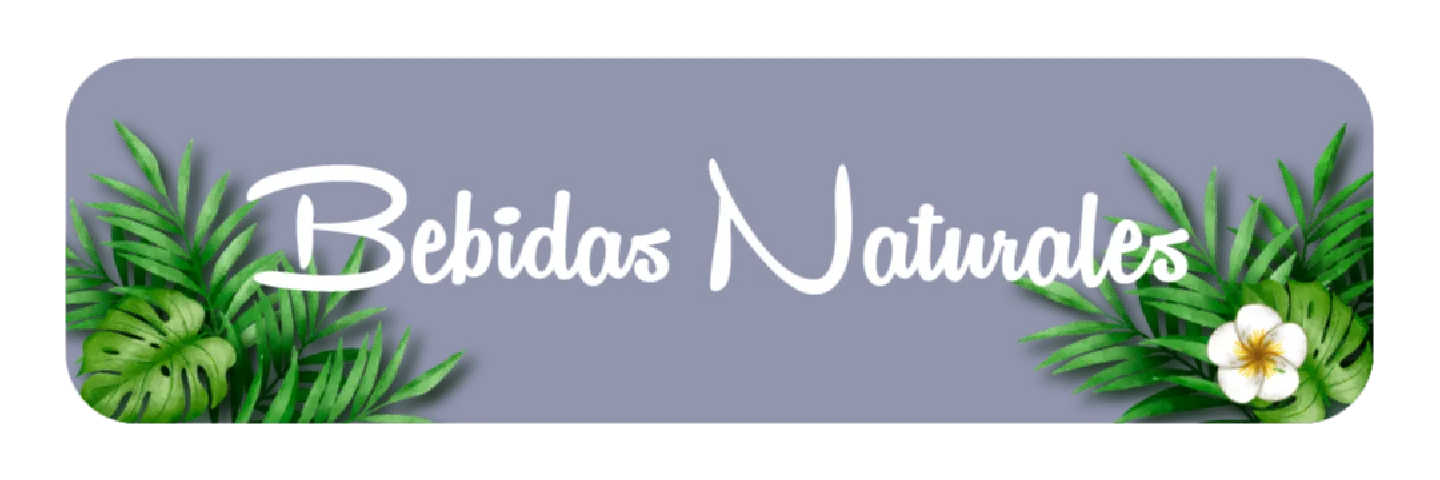 Bebidas Naturales