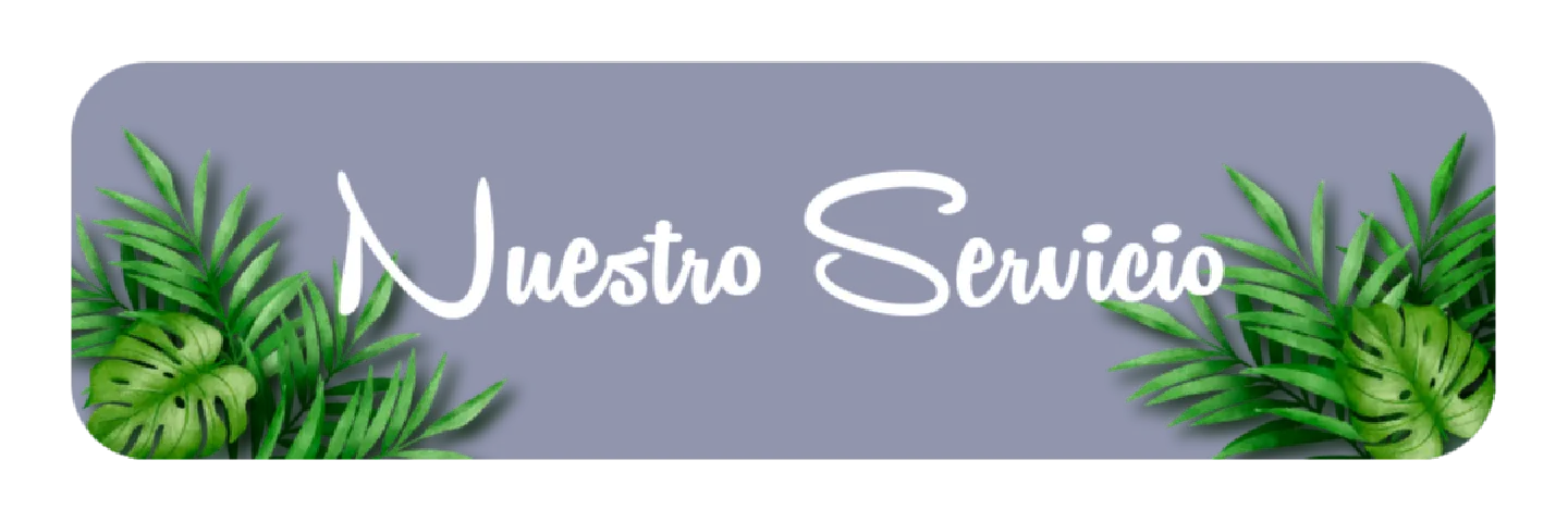 Nuestro Servicio