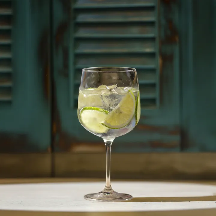 GIN TONIC MALFY