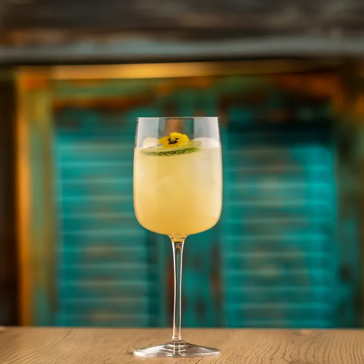 Zenzero Artigianale
