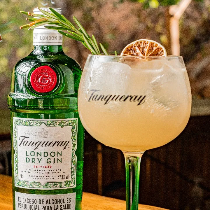 GIN TONIC ROMERO-TENQUERAY