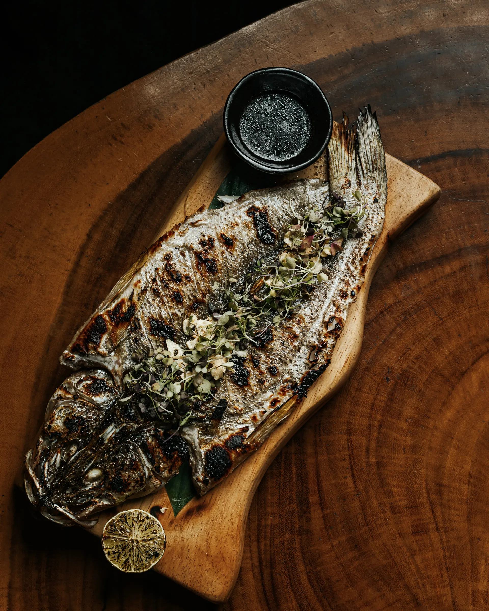 ROBATA MAR 