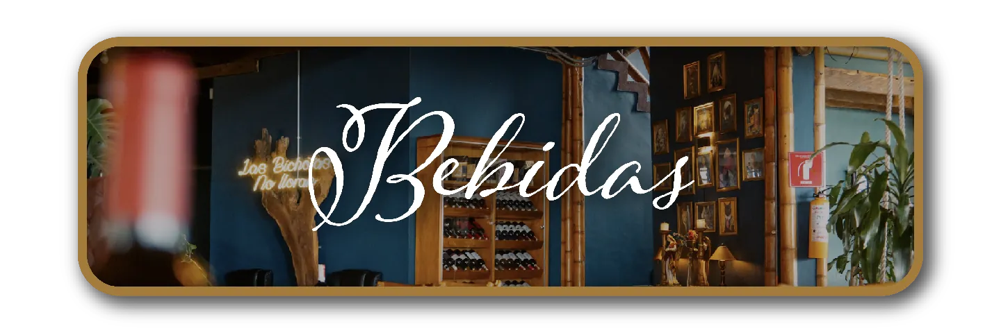 Bebidas