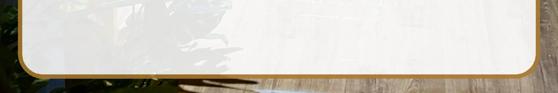 Banner final