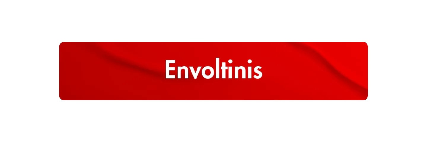 Envoltinis