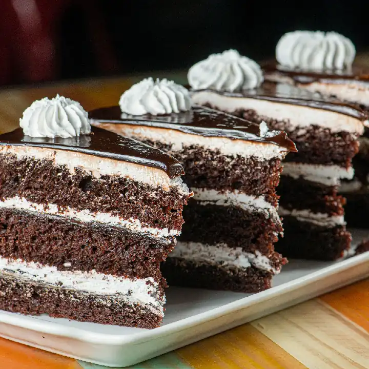 BIZCOCHO DE CHOCOLATE