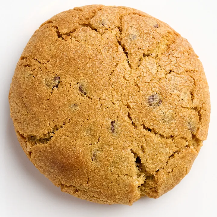 GALLETAS PLAIN