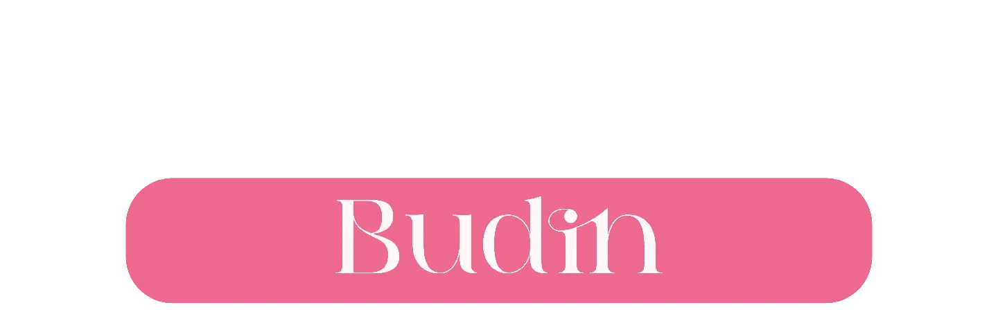BUDIN