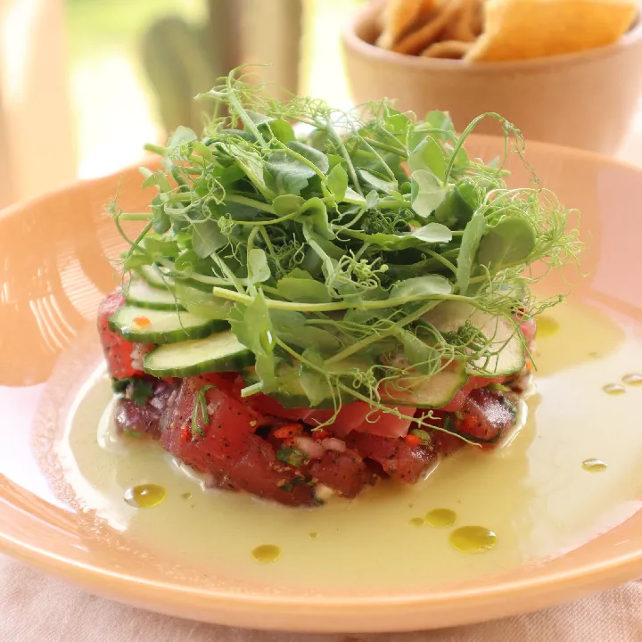 AGUACHILE DE ATUN