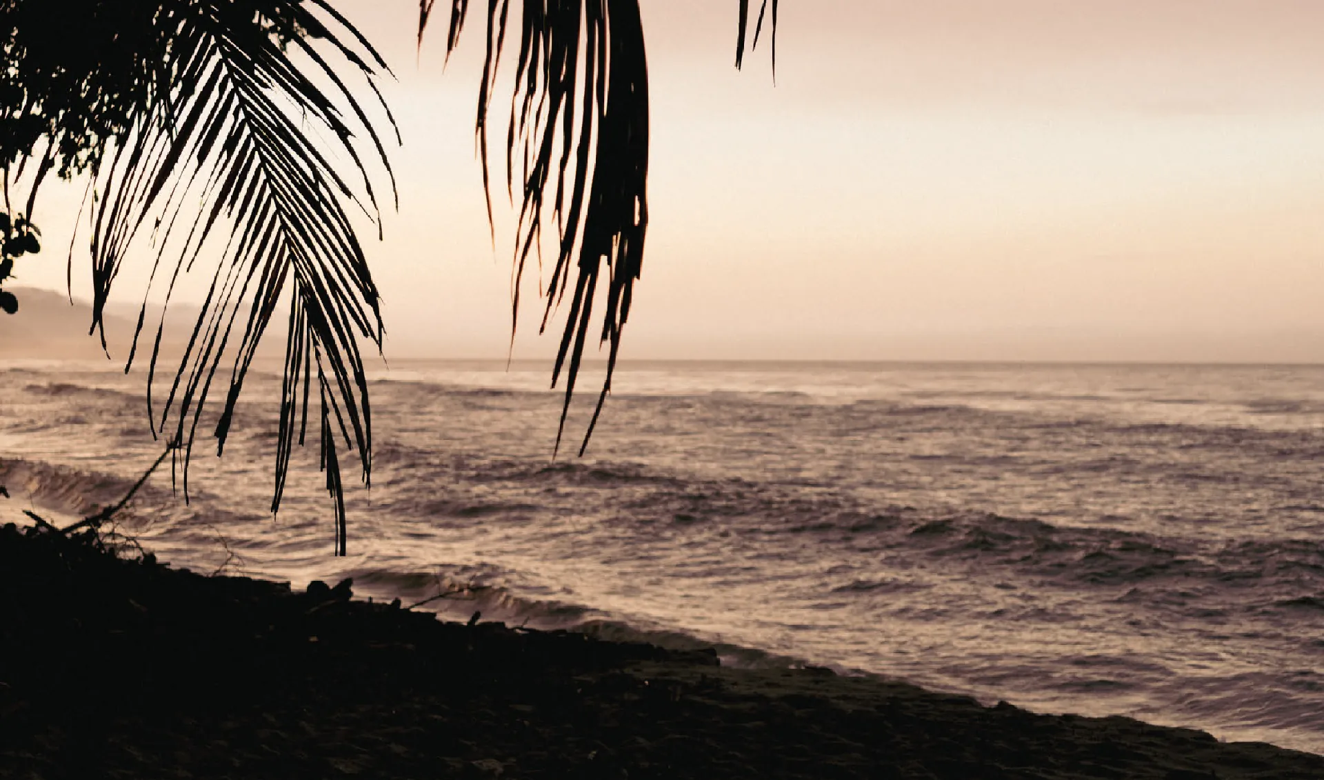 Banner - Safari Nocturno