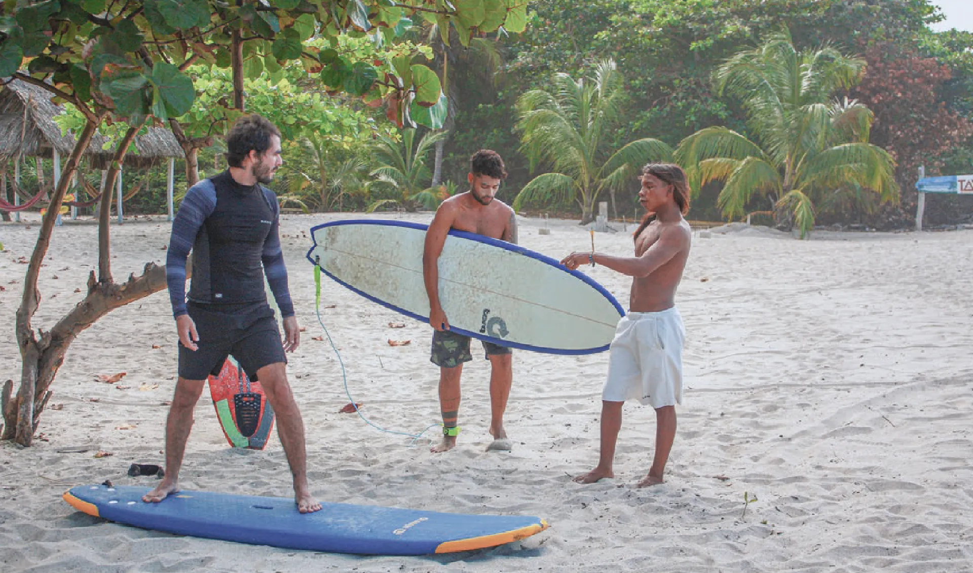 Banner - Surf