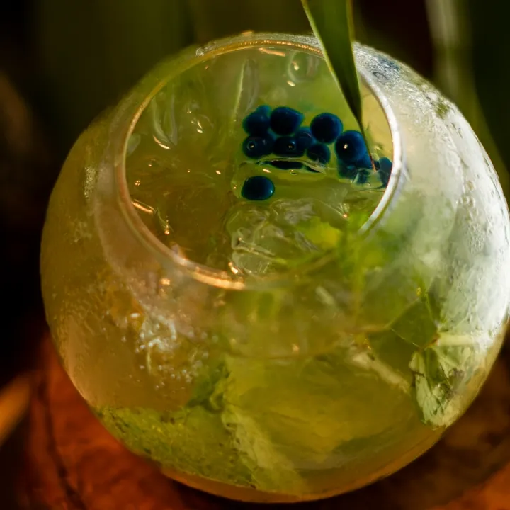 Kappa Mojito