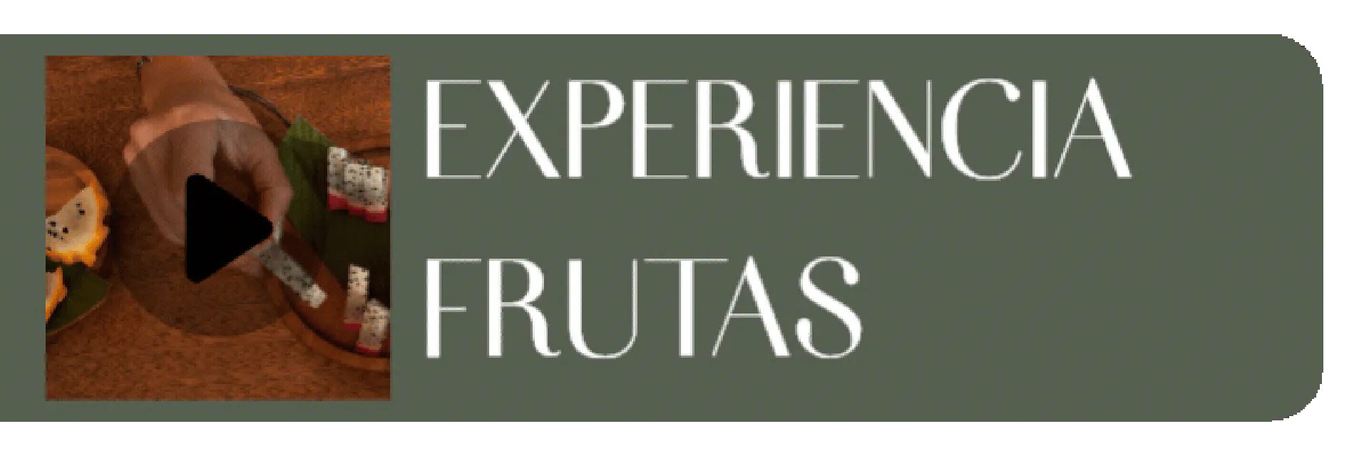 Experiencia frutas